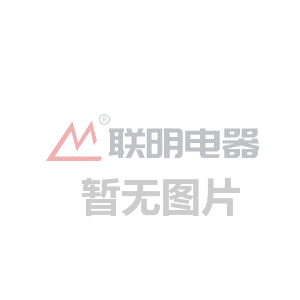 上海安亭綠地經濟城領導一行走訪考察湖南冬達工廠